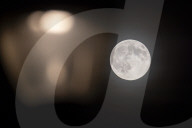 Full Beaver Moon In The Netherlands