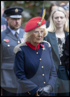Queen Camilla at the Field of Remembrance in London