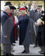 Queen Camilla at the Field of Remembrance in London