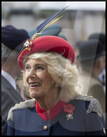 Queen Camilla at the Field of Remembrance in London