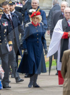 Queen Camilla Visits Field Of Remembrance
