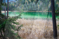 Emerald Green Lake Mittersee With Forest Reflection And Wetterstein Mountains Backdrop