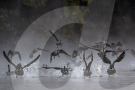 Wildlife At The Oxbow Nature Conservancy 