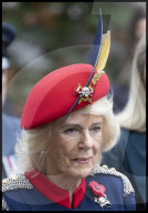 Queen Camilla at the Field of Remembrance in London