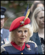 Queen Camilla at the Field of Remembrance in London
