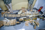 The Process Of Unpacking The Stegodon Fossil 