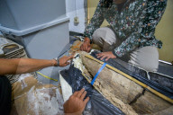 The Process Of Unpacking The Stegodon Fossil 