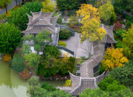 Qingyan Garden Colorful Plant Leaves