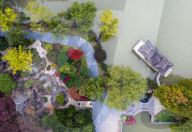 Qingyan Garden Colorful Plant Leaves