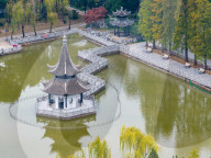 Qingyan Garden Colorful Plant Leaves