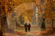 Autumn Season In Kashmir, India