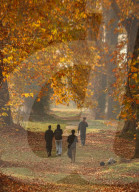 Autumn Season In Kashmir, India