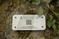 Autumn Season In Kashmir, India