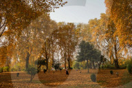 Autumn Season In Kashmir, India