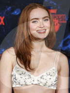 World Premiere Of Netflix's 'Stranger Things' Season 5