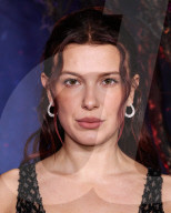 Netflix FYSEE: The Fall Edit - 'Stranger Things' Season 5 FYC Event