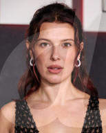 Netflix FYSEE: The Fall Edit - 'Stranger Things' Season 5 FYC Event