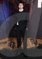 Netflix FYSEE: The Fall Edit - 'Stranger Things' Season 5 FYC Event