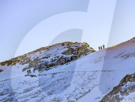 Hikers On Snowy Slopes