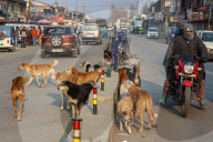 Daily Life In Kashmir