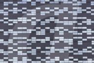 Nexperia Headquarters In Nijmegen