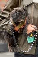 *EXCLUSIVE* Irina Shayk Steps Out in Style for a Coffee Run With Her Dog in New York