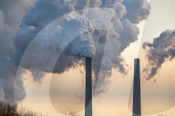 Bald Eagles And Pollution: Miami Fort Power Station In CIncinnati