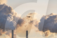 Bald Eagles And Pollution: Miami Fort Power Station In CIncinnati