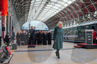 Queen Camilla at Armistice Day event in London