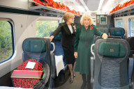 Queen Camilla at Armistice Day event in London