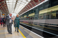 Queen Camilla at Armistice Day event in London
