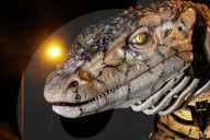 Odyssey of The Varan by The Nantes-Based Company La Machine - Calais