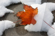 Autumn And Winter Season Intertwine In Canada