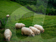 Rural Spain Along The Northern Way In Spain. May-June 2025.