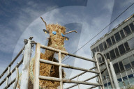 Farmers Mobilize Against Macron In Toulouse - France
