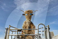 Farmers Mobilize Against Macron In Toulouse - France