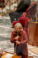 Questions To The French Government At The National Assembly