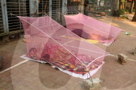 Dengue Outbreak In Bangladesh