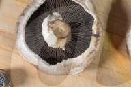 Daily Life In Warsaw