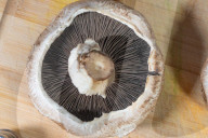 Daily Life In Warsaw