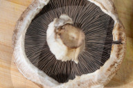 Daily Life In Warsaw