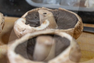 Daily Life In Warsaw