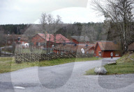 WWFs miljoehjaelte och Årets Pandabok  - 13.11.2025