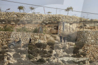 Palestinians Protest Against Israeli Settlers Near Hebron - Palestine