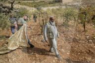 Palestinians Protest Against Israeli Settlers Near Hebron - Palestine