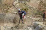 Palestinians Protest Against Israeli Settlers Near Hebron - Palestine