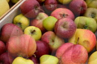 Minister Of Agriculture Annie Genevard Visits The Chantalois Fruit Farm In Chavaniere France
