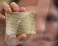 Lady Glenconner My Life in Objects exhibition preview at Bonhams