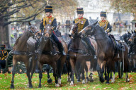 Kings Birthday 41 Gun Royal Salute
