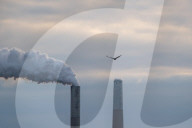 Wildlife At The Oxbow Nature Conservancy In Indiana